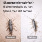 ChatGPT Image 12. jan. 2026, 13.08.50