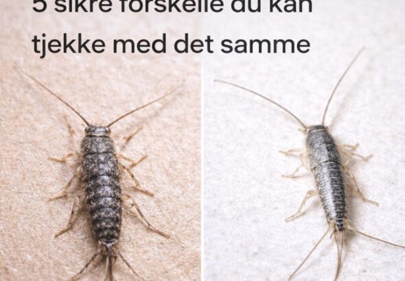 ChatGPT Image 12. jan. 2026, 13.08.50